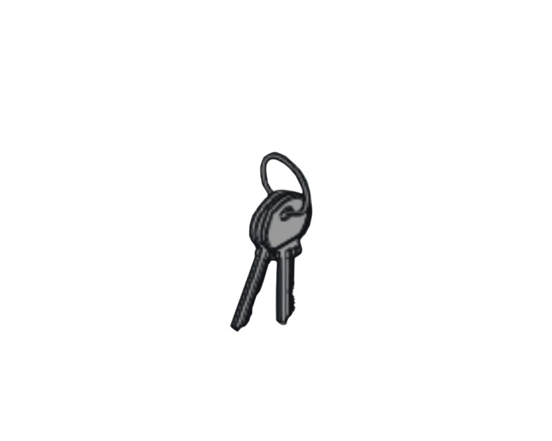 MARANTEC Набор запасных ключей для замкового выключателя S333 номер ключа 739, 84683